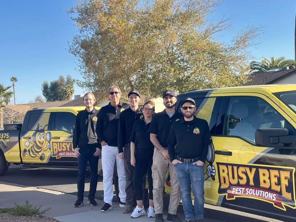 Busy Bee Pest Solutions technicians beside a branded service truck