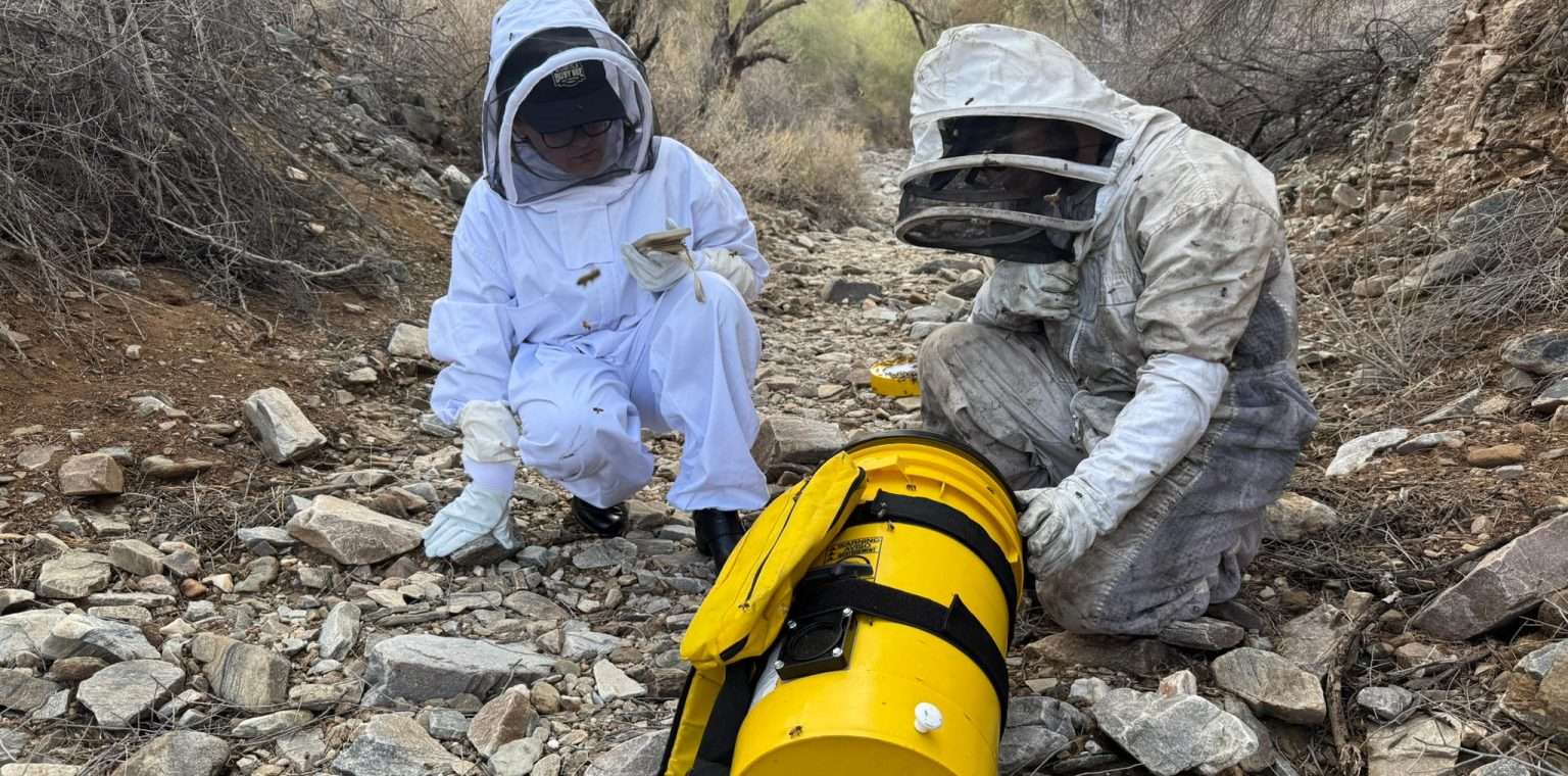Science Live Bee Relocation in Arizona: Understanding the Process