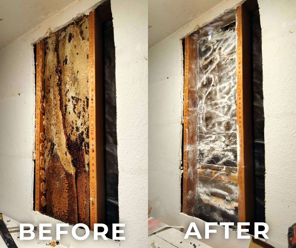 Before and after photos of honeycomb removal from inside a home wall