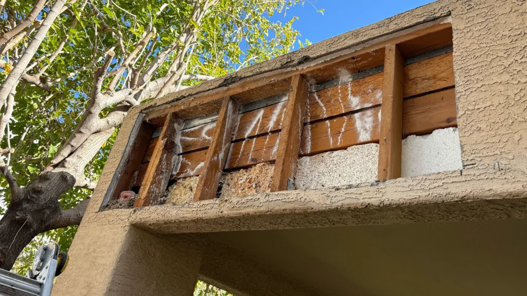 wall cavity after honeycomb removal showing cleaned studs where large bee hive previously filled the space Arizona