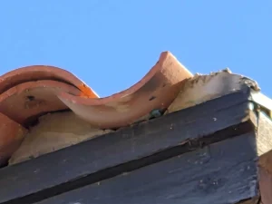 Terracotta barrel tile at the eave of a Peoria house with the open channel under the first course visible against a blue sky
