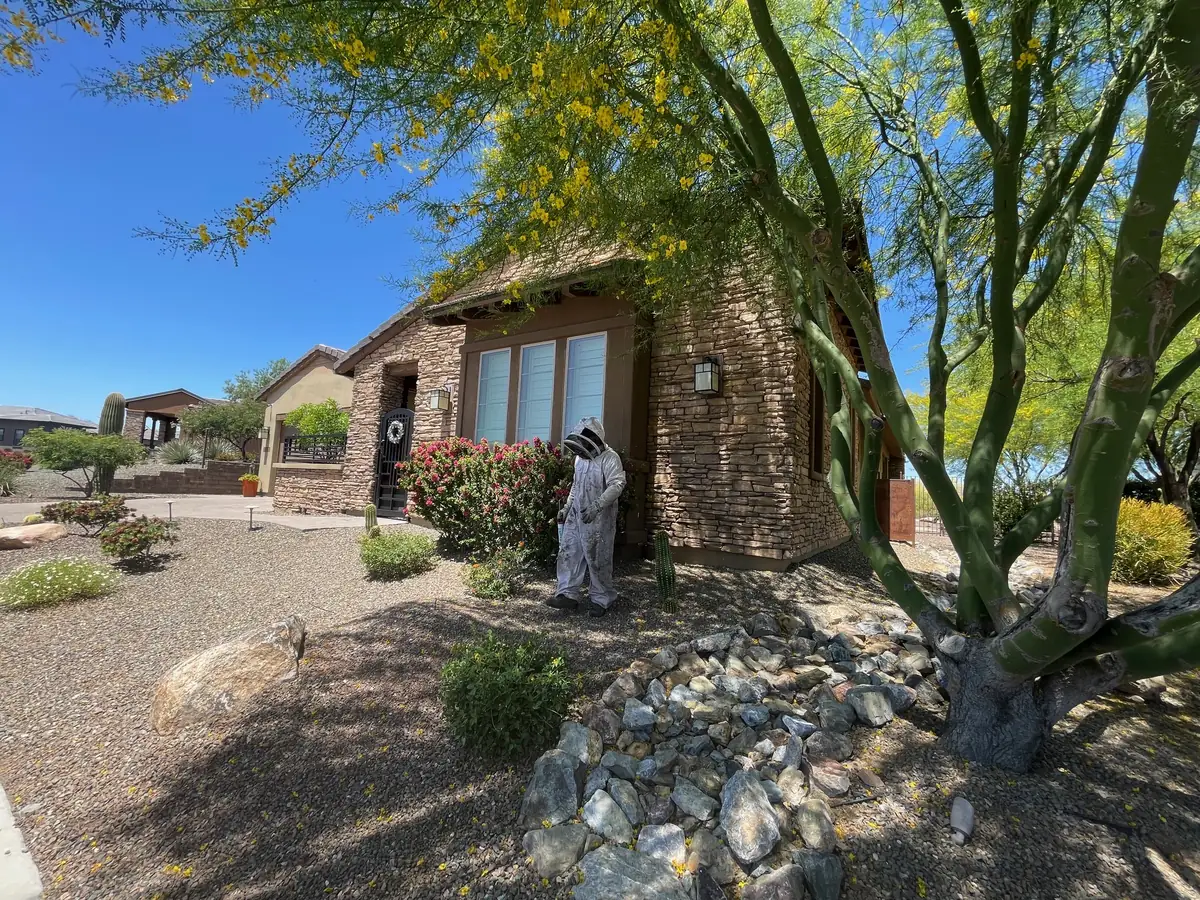 A Busy Bee Pest Solutions technician in a bee suit at a desert home with a tile roof and gravel landscaping