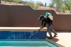 A Busy Bee Pest Solutions technician applying a poolside bee deterrent treatment to the waterline tile of a Phoenix area swimming pool