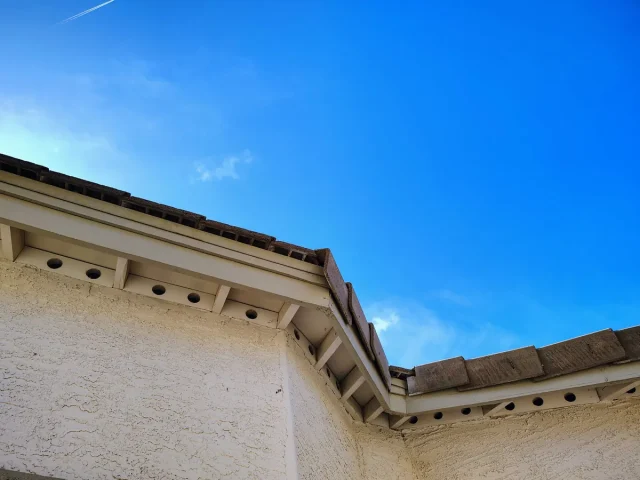 Roof Rats Under Solar Panels in Phoenix