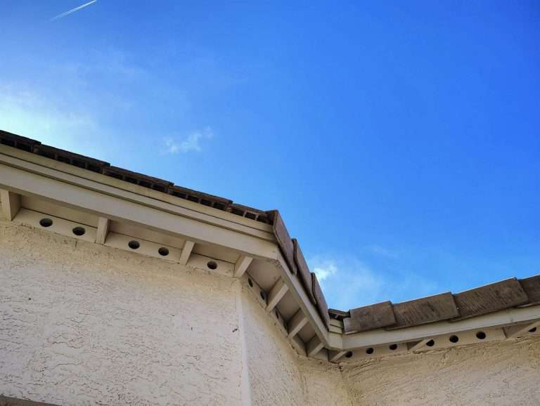 Open bird-block holes under a tile roof eave, a common roof rat entry point