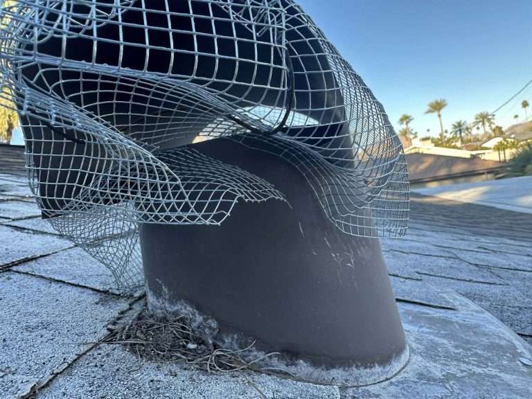 Roof vent with its wire screen torn open and debris at the base