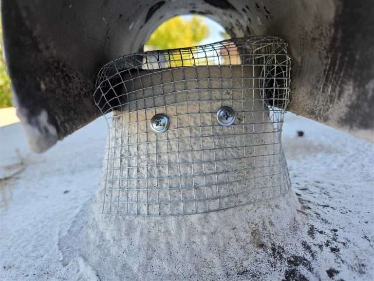 Roof vent covered with wire mesh on a rodent exclusion job in Tempe